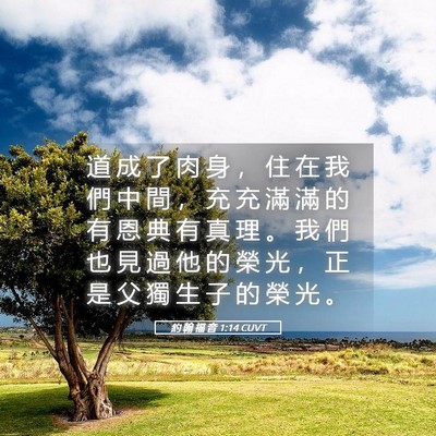 Picture 05 - 約 翰 福 音 1:14 CUVT - 道 成 了 肉 身 ， 住 在 我 們 中 間 - Bible Verse Picture