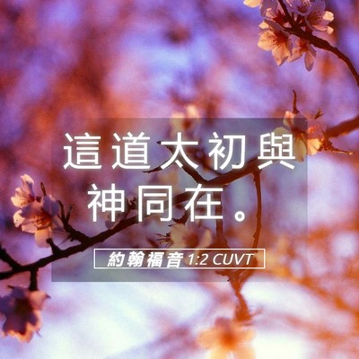 Picture 05 - 約 翰 福 音 1:2 CUVT - 這 道 太 初 與 神 同 在 - Bible Verse Picture
