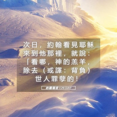 Picture 05 - 約 翰 福 音 1:29 CUVT - 次 日 ， 約 翰 看 見 耶 穌 來 到 他 - Bible Verse Picture