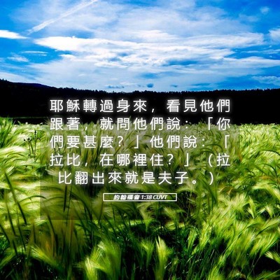 Picture 05 - 約 翰 福 音 1:38 CUVT - 耶 穌 轉 過 身 來 ， 看 見 他 們 跟 - Bible Verse Picture
