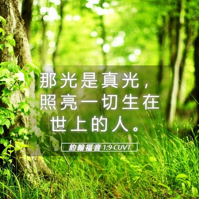 Picture 05 - 約 翰 福 音 1:9 CUVT - 那 光 是 真 光 ， 照 亮 一 切 生 在 - Bible Verse Picture