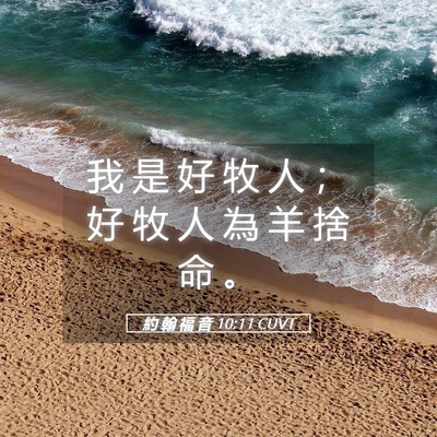 Picture 05 - 約 翰 福 音 10:11 CUVT - 我 是 好 牧 人 ； 好 牧 人 為 羊 捨 - Bible Verse Picture