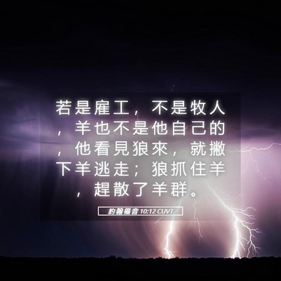 Picture 05 - 約 翰 福 音 10:12 CUVT - 若 是 雇 工 ， 不 是 牧 人 ， 羊 也 - Bible Verse Picture