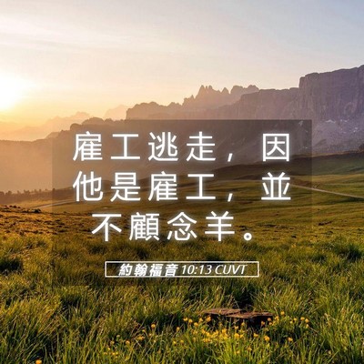 Picture 05 - 約 翰 福 音 10:13 CUVT - 雇 工 逃 走 ， 因 他 是 雇 工 ， 並 - Bible Verse Picture