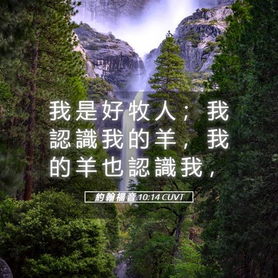 Picture 05 - 約 翰 福 音 10:14 CUVT - 我 是 好 牧 人 ； 我 認 識 我 的 羊 - Bible Verse Picture