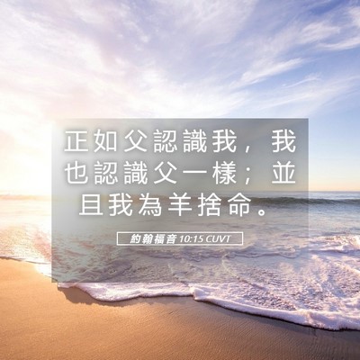 Picture 05 - 約 翰 福 音 10:15 CUVT - 正 如 父 認 識 我 ， 我 也 認 識 父 - Bible Verse Picture