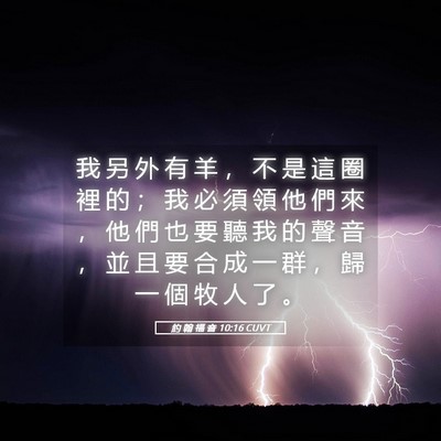 Picture 05 - 約 翰 福 音 10:16 CUVT - 我 另 外 有 羊 ， 不 是 這 圈 裡 的 - Bible Verse Picture