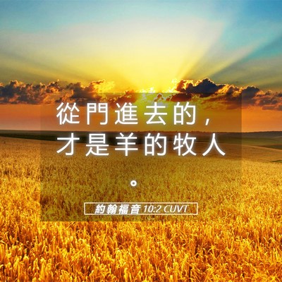 Picture 05 - 約 翰 福 音 10:2 CUVT - 從 門 進 去 的 ， 才 是 羊 的 牧 人 - Bible Verse Picture