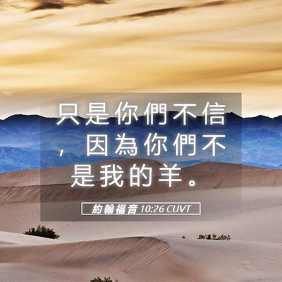 Picture 05 - 約 翰 福 音 10:26 CUVT - 只 是 你 們 不 信 ， 因 為 你 們 不 - Bible Verse Picture