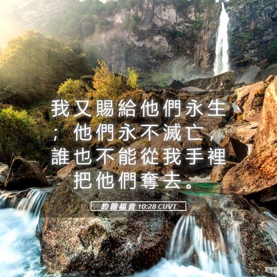 Picture 05 - 約 翰 福 音 10:28 CUVT - 我 又 賜 給 他 們 永 生 ； 他 們 永 - Bible Verse Picture