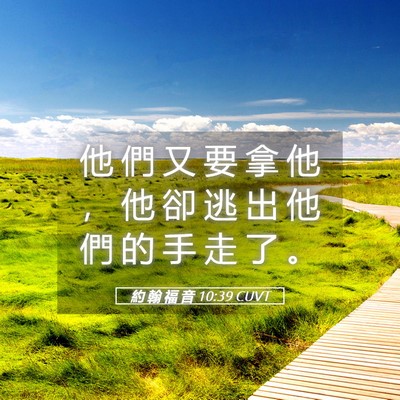 Picture 05 - 約 翰 福 音 10:39 CUVT - 他 們 又 要 拿 他 ， 他 卻 逃 出 他 - Bible Verse Picture