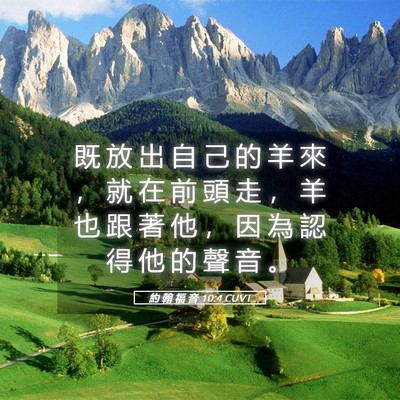 Picture 05 - 約 翰 福 音 10:4 CUVT - 既 放 出 自 己 的 羊 來 ， 就 在 前 - Bible Verse Picture