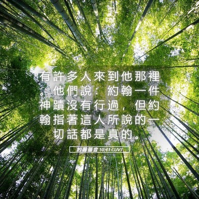 Picture 05 - 約 翰 福 音 10:41 CUVT - 有 許 多 人 來 到 他 那 裡 。 他 們 - Bible Verse Picture
