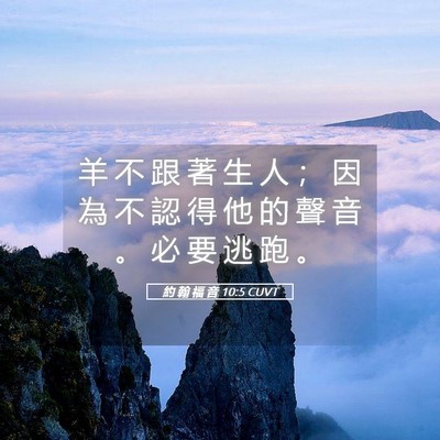 Picture 05 - 約 翰 福 音 10:5 CUVT - 羊 不 跟 著 生 人 ； 因 為 不 認 得 - Bible Verse Picture