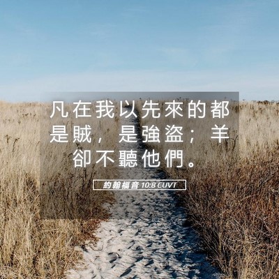 Picture 05 - 約 翰 福 音 10:8 CUVT - 凡 在 我 以 先 來 的 都 是 賊 ， 是 - Bible Verse Picture