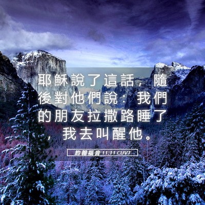 Picture 05 - 約 翰 福 音 11:11 CUVT - 耶 穌 說 了 這 話 ， 隨 後 對 他 們 - Bible Verse Picture