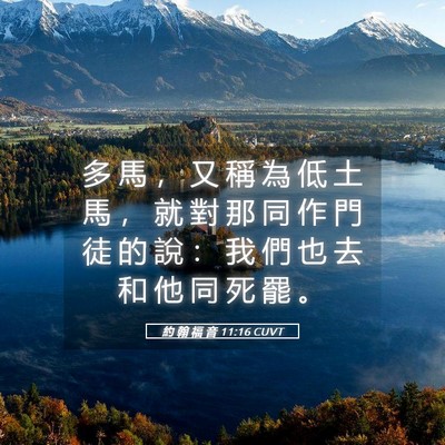 Picture 05 - 約 翰 福 音 11:16 CUVT - 多 馬 ， 又 稱 為 低 土 馬 ， 就 對 - Bible Verse Picture