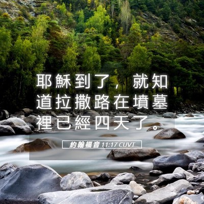 Picture 05 - 約 翰 福 音 11:17 CUVT - 耶 穌 到 了 ， 就 知 道 拉 撒 路 在 - Bible Verse Picture