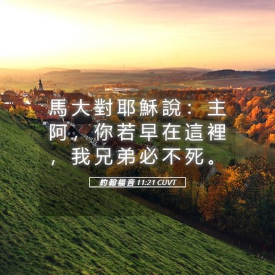 Picture 05 - 約 翰 福 音 11:21 CUVT - 馬 大 對 耶 穌 說 ： 主 阿 ， 你 若 - Bible Verse Picture