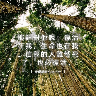 Picture 05 - 約 翰 福 音 11:25 CUVT - 耶 穌 對 他 說 ： 復 活 在 我 ， 生 - Bible Verse Picture