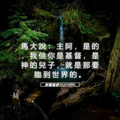 Picture 05 - 約 翰 福 音 11:27 CUVT - 馬 大 說 ： 主 阿 ， 是 的 ， 我 信 - Bible Verse Picture