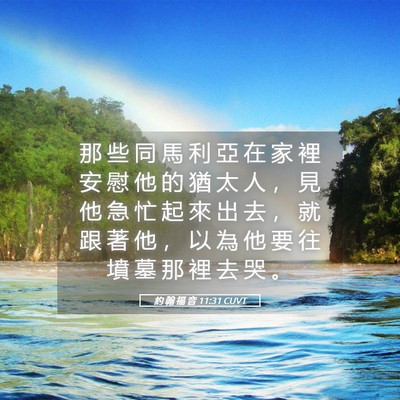 Picture 05 - 約 翰 福 音 11:31 CUVT - 那 些 同 馬 利 亞 在 家 裡 安 慰 他 - Bible Verse Picture