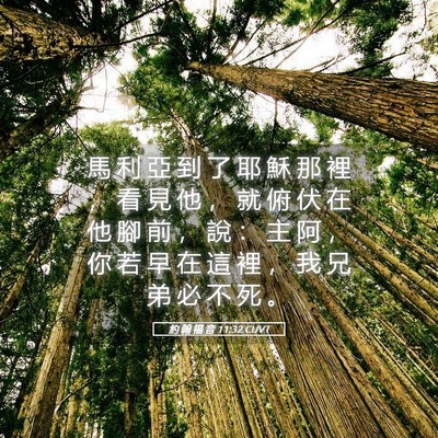 Picture 05 - 約 翰 福 音 11:32 CUVT - 馬 利 亞 到 了 耶 穌 那 裡 ， 看 見 - Bible Verse Picture