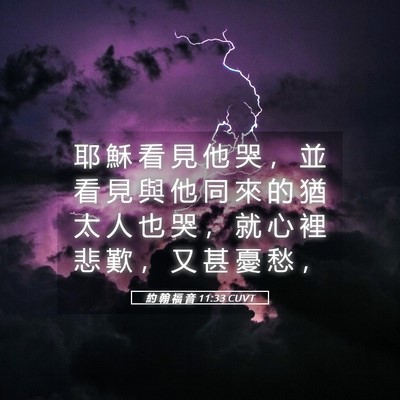 Picture 05 - 約 翰 福 音 11:33 CUVT - 耶 穌 看 見 他 哭 ， 並 看 見 與 他 - Bible Verse Picture