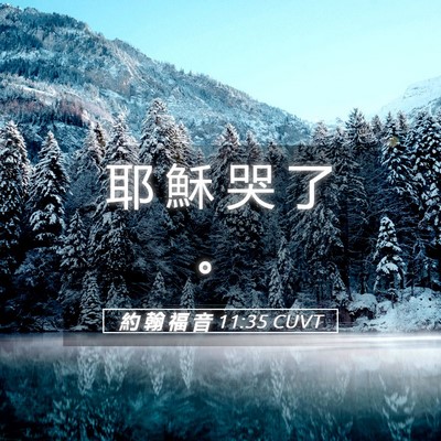 Picture 05 - 約 翰 福 音 11:35 CUVT - 耶 穌 哭 了 - Bible Verse Picture