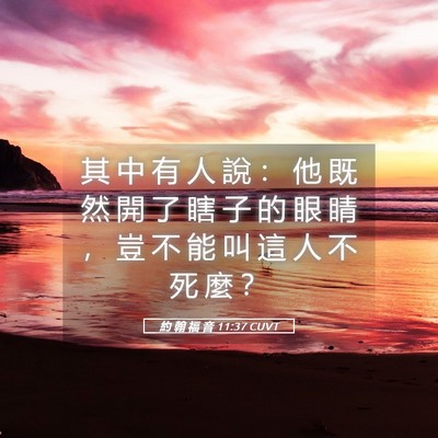 Picture 05 - 約 翰 福 音 11:37 CUVT - 其 中 有 人 說 ： 他 既 然 開 了 瞎 - Bible Verse Picture