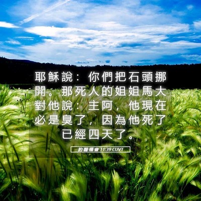 Picture 05 - 約 翰 福 音 11:39 CUVT - 耶 穌 說 ： 你 們 把 石 頭 挪 開 。 - Bible Verse Picture