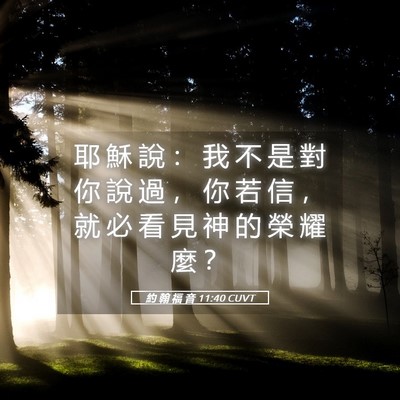 Picture 05 - 約 翰 福 音 11:40 CUVT - 耶 穌 說 ： 我 不 是 對 你 說 過 ， - Bible Verse Picture