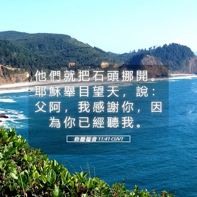 Picture 05 - 約 翰 福 音 11:41 CUVT - 他 們 就 把 石 頭 挪 開 。 耶 穌 舉 - Bible Verse Picture