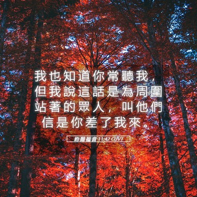 Picture 05 - 約 翰 福 音 11:42 CUVT - 我 也 知 道 你 常 聽 我 ， 但 我 說 - Bible Verse Picture