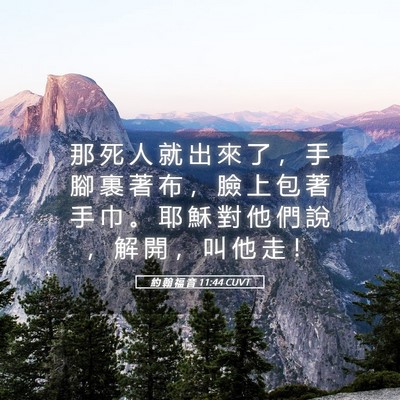 Picture 05 - 約 翰 福 音 11:44 CUVT - 那 死 人 就 出 來 了 ， 手 腳 裹 著 - Bible Verse Picture