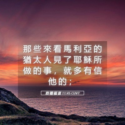 Picture 05 - 約 翰 福 音 11:45 CUVT - 那 些 來 看 馬 利 亞 的 猶 太 人 見 - Bible Verse Picture