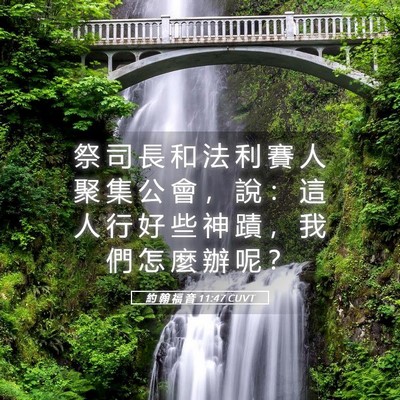 Picture 05 - 約 翰 福 音 11:47 CUVT - 祭 司 長 和 法 利 賽 人 聚 集 公 會 - Bible Verse Picture