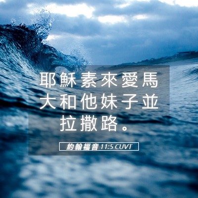Picture 05 - 約 翰 福 音 11:5 CUVT - 耶 穌 素 來 愛 馬 大 和 他 妹 子 並 - Bible Verse Picture