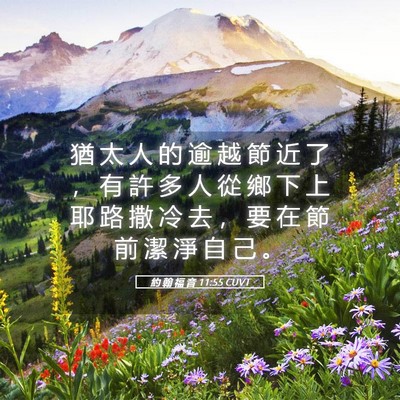 Picture 05 - 約 翰 福 音 11:55 CUVT - 猶 太 人 的 逾 越 節 近 了 ， 有 許 - Bible Verse Picture