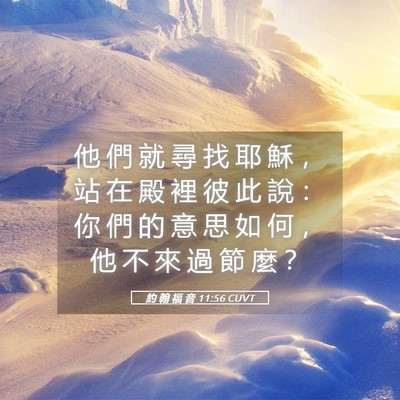 Picture 05 - 約 翰 福 音 11:56 CUVT - 他 們 就 尋 找 耶 穌 ， 站 在 殿 裡 - Bible Verse Picture