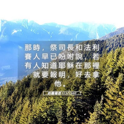 Picture 05 - 約 翰 福 音 11:57 CUVT - 那 時 ， 祭 司 長 和 法 利 賽 人 早 - Bible Verse Picture