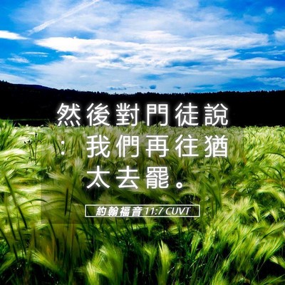 Picture 05 - 約 翰 福 音 11:7 CUVT - 然 後 對 門 徒 說 ： 我 們 再 往 猶 - Bible Verse Picture