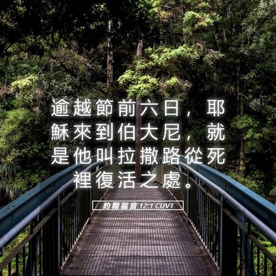 Picture 05 - 約 翰 福 音 12:1 CUVT - 逾 越 節 前 六 日 ， 耶 穌 來 到 伯 - Bible Verse Picture