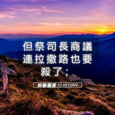 Picture 05 - 約 翰 福 音 12:10 CUVT - 但 祭 司 長 商 議 連 拉 撒 路 也 要 - Bible Verse Picture