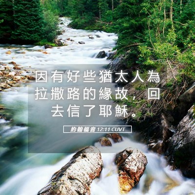 Picture 05 - 約 翰 福 音 12:11 CUVT - 因 有 好 些 猶 太 人 為 拉 撒 路 的 - Bible Verse Picture