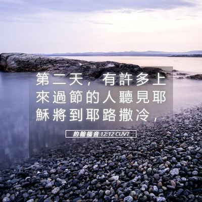 Picture 05 - 約 翰 福 音 12:12 CUVT - 第 二 天 ， 有 許 多 上 來 過 節 的 - Bible Verse Picture