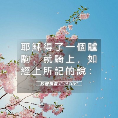 Picture 05 - 約 翰 福 音 12:14 CUVT - 耶 穌 得 了 一 個 驢 駒 ， 就 騎 上 - Bible Verse Picture