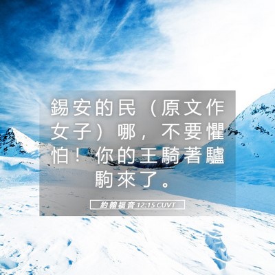 Picture 05 - 約 翰 福 音 12:15 CUVT - 錫 安 的 民 （ 原 文 作 女 子 ） 哪 - Bible Verse Picture