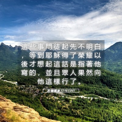 Picture 05 - 約 翰 福 音 12:16 CUVT - 這 些 事 門 徒 起 先 不 明 白 ， 等 - Bible Verse Picture