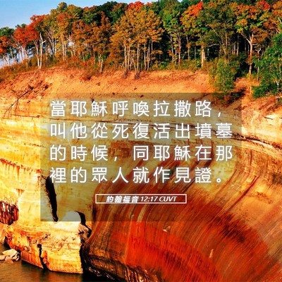 Picture 05 - 約 翰 福 音 12:17 CUVT - 當 耶 穌 呼 喚 拉 撒 路 ， 叫 他 從 - Bible Verse Picture